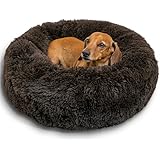 Orthopaedic Pet Bed