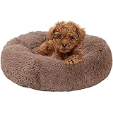 Orthopaedic Pet Bed