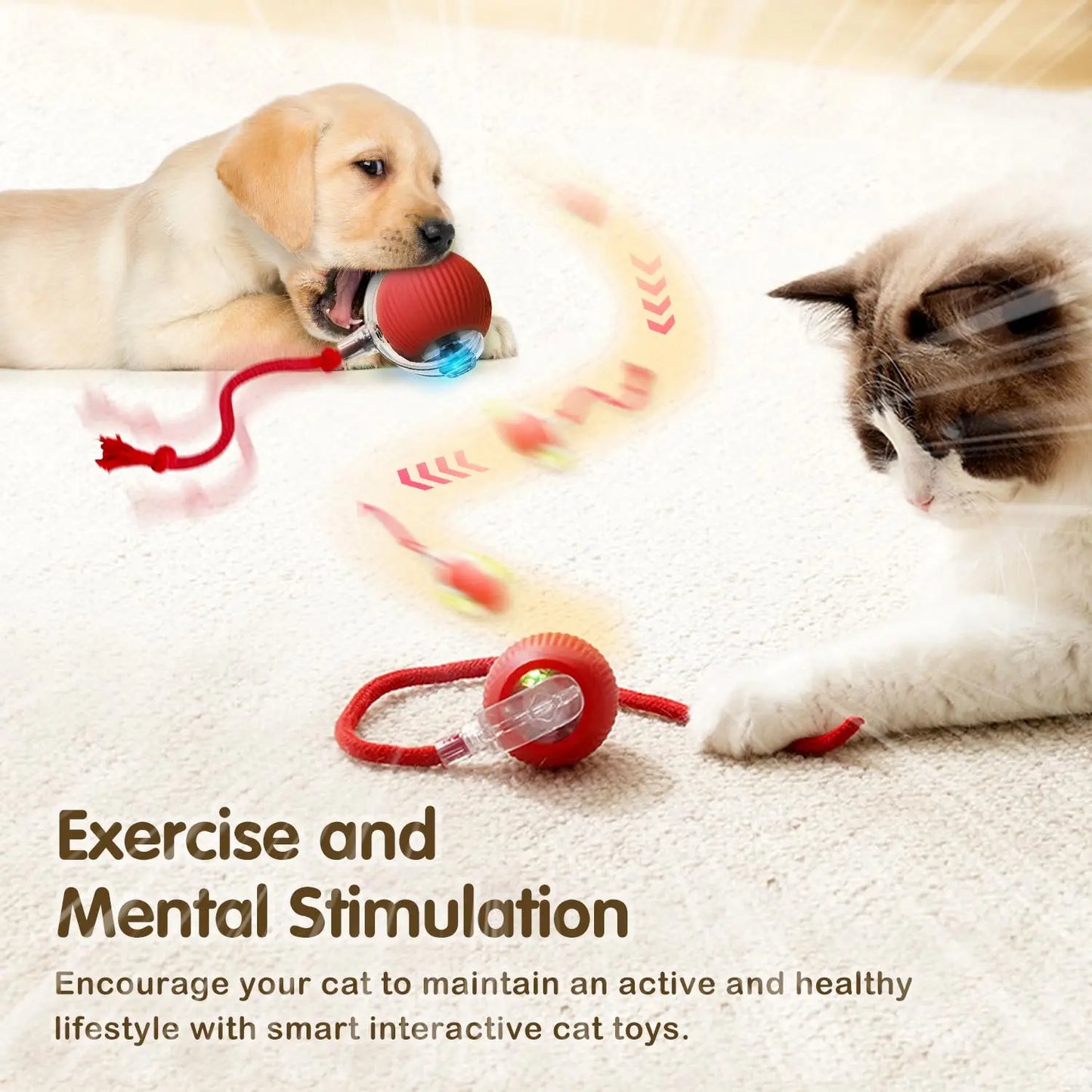 Pet Electronic Ball Toy