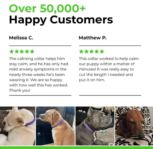 Furlife - Calming Collar for Dogs