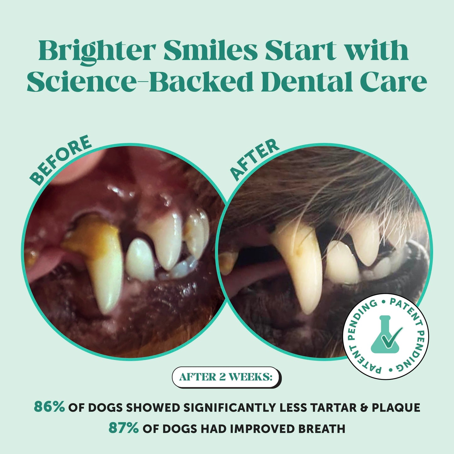 Fresh Breath Dental Powder For Dogs (30 Servings)