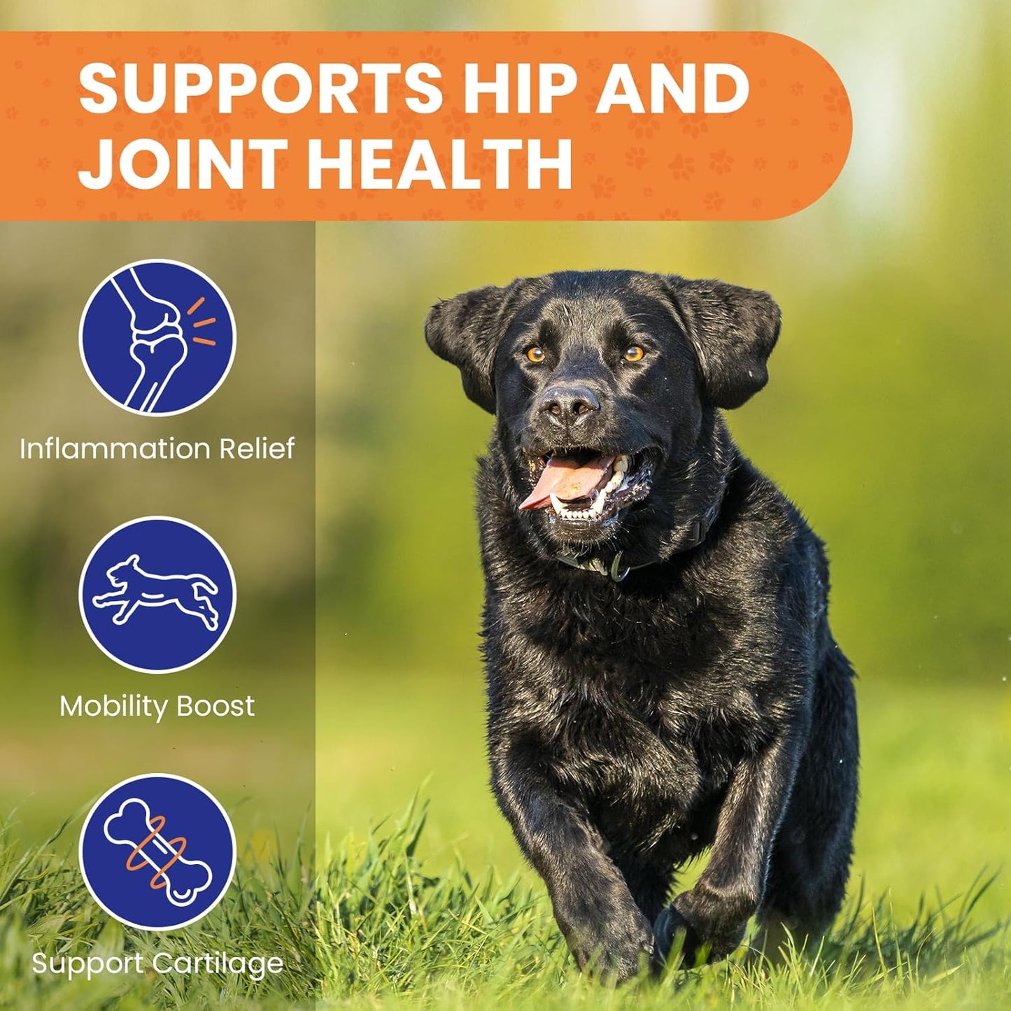 Calming Dog Treats, 60 Count Hemp Calming Treats for Dogs | Reduce Stress, Fear, Separation Anxiety, Barking, Hyperactivity, Reactivity, Aggression, Travel Issues | 100% Natural Dog Calming Treats