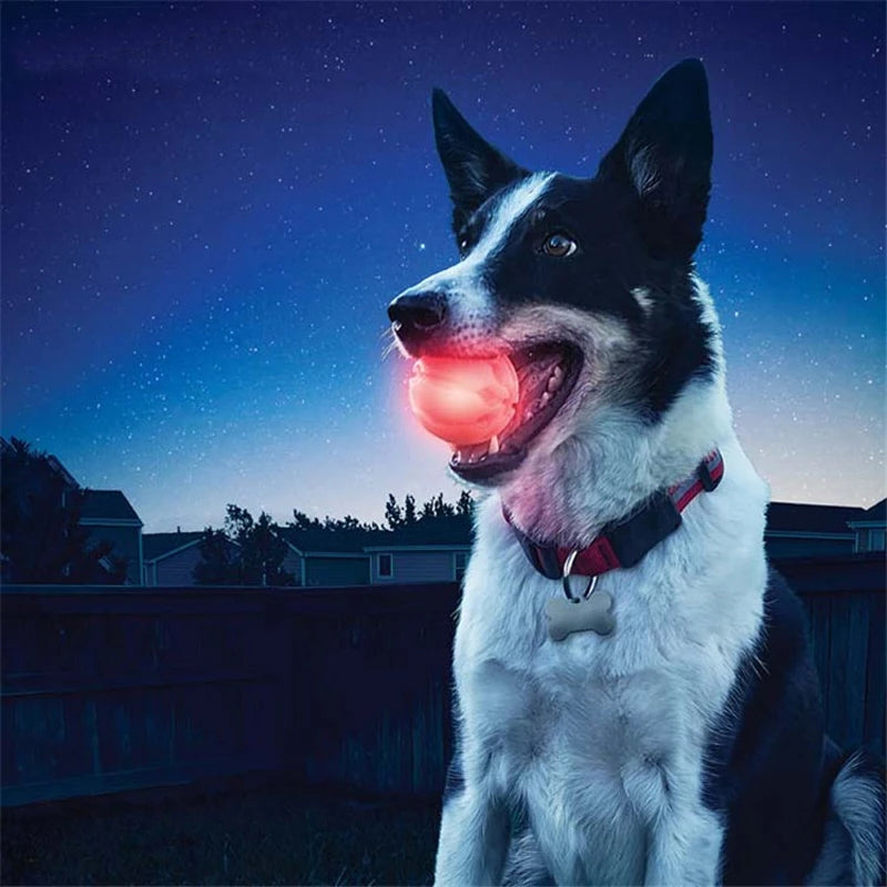 Pet Light-Up Interactive Ball 