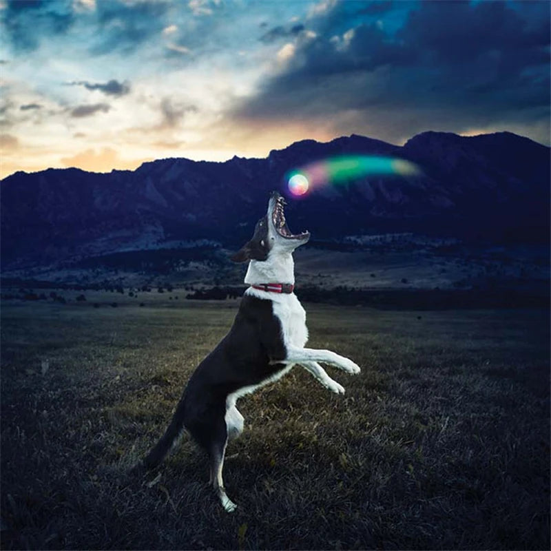 Pet Light-Up Interactive Ball 