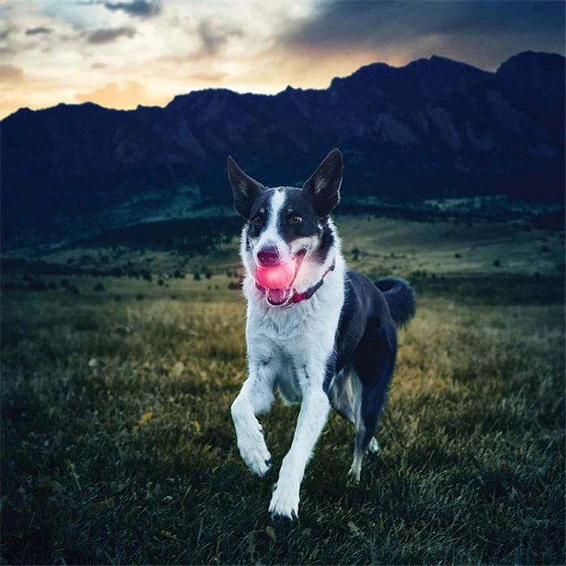 Pet Light-Up Interactive Ball 