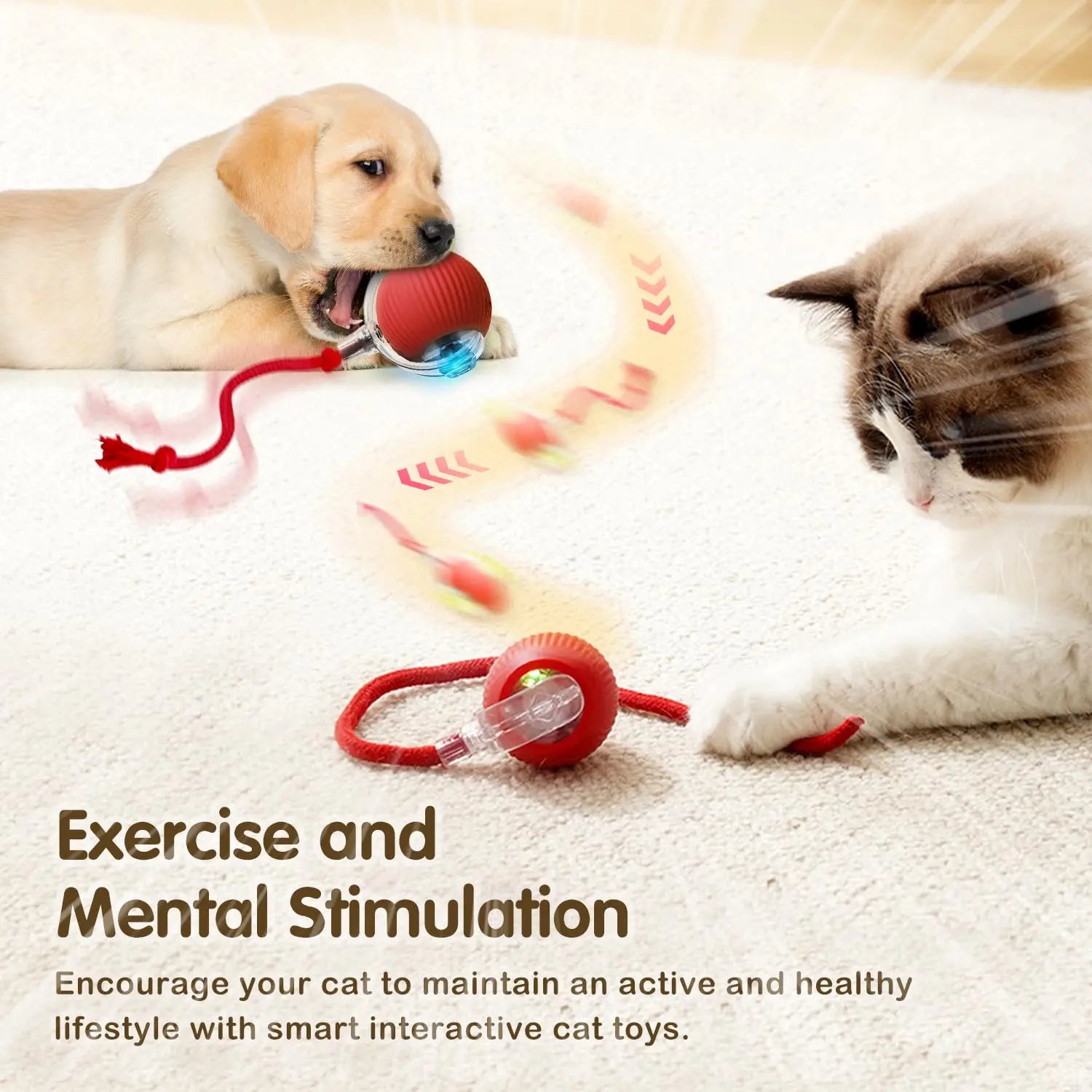 Pet Electronic Ball Toy