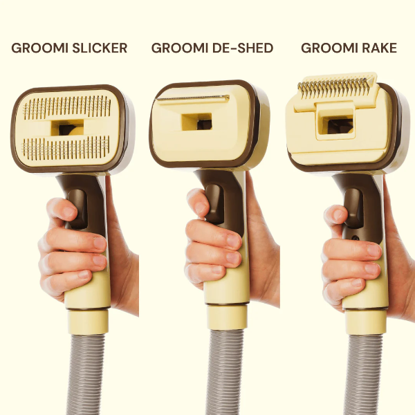 The Groomi