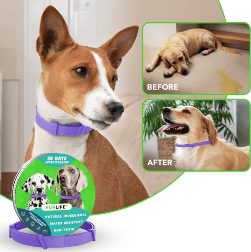 Furlife - Calming Collar for Dogs