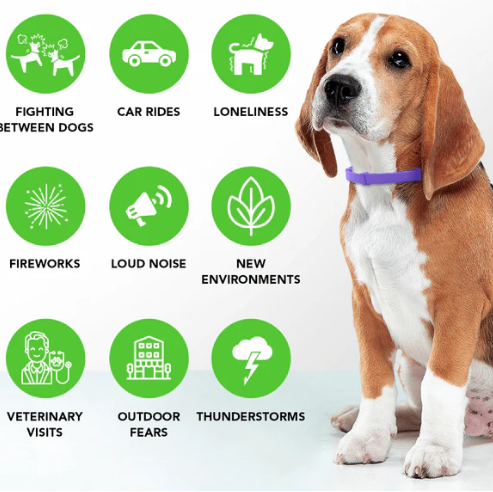 Furlife - Calming Collar for Dogs