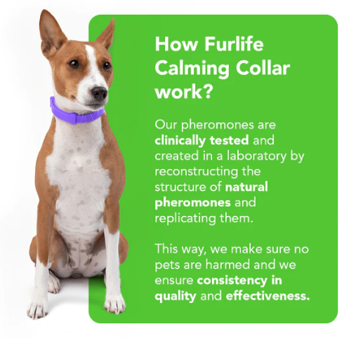 Furlife - Calming Collar for Dogs